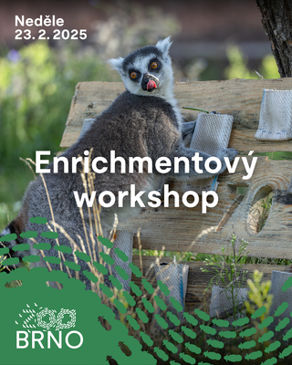 Enrichmentový workshop 